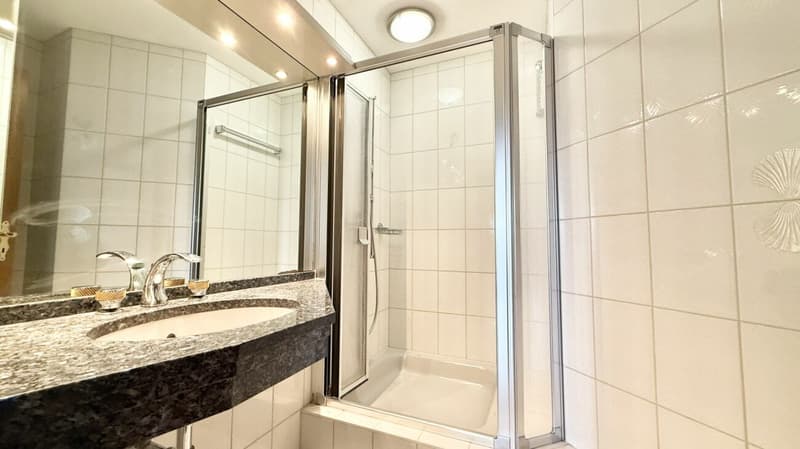 Attraktive, grosszügige und helle 4.5 Zi. Wohnung im Herzen von Aegerten (9)