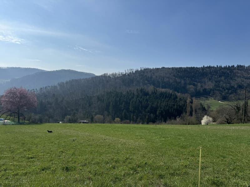 Schönes Grundstück mit Weitsicht (2)
