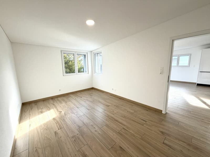 Maison moderne de 3.5 pièces (6)