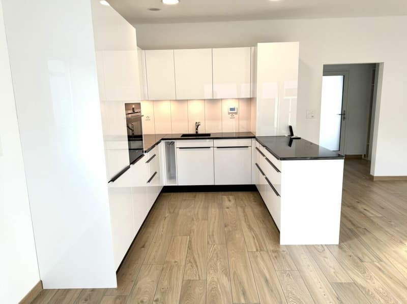 Maison moderne de 3.5 pièces (5)