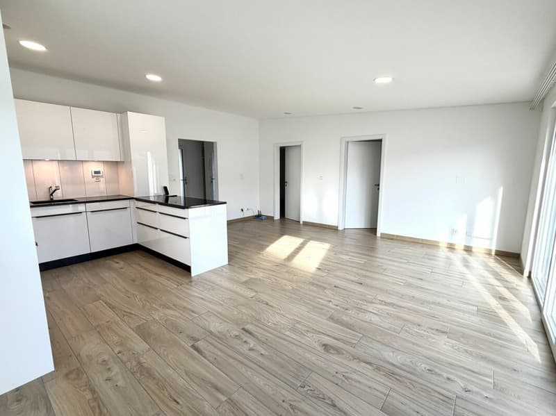 Maison moderne de 3.5 pièces (4)