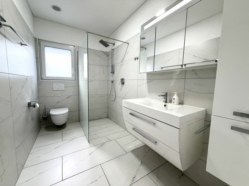 Maison moderne de 3.5 pièces (8)