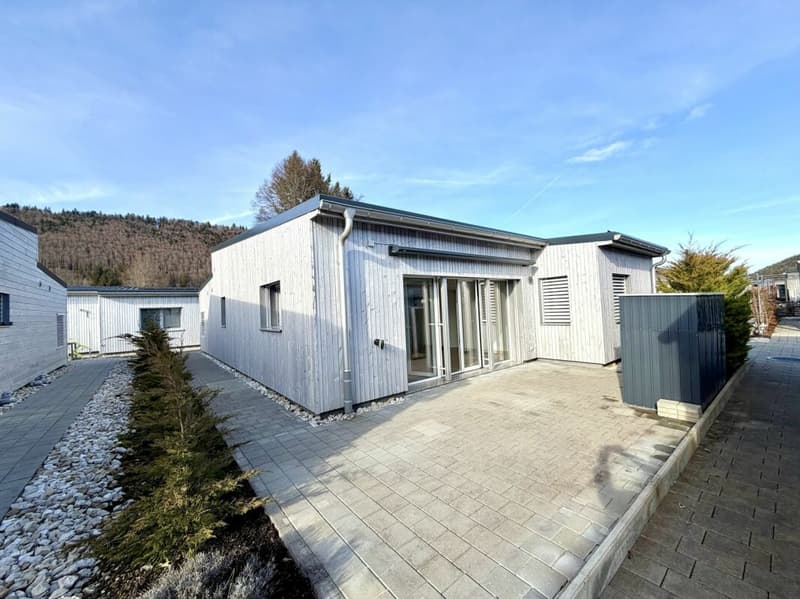 Maison moderne de 3.5 pièces (3)