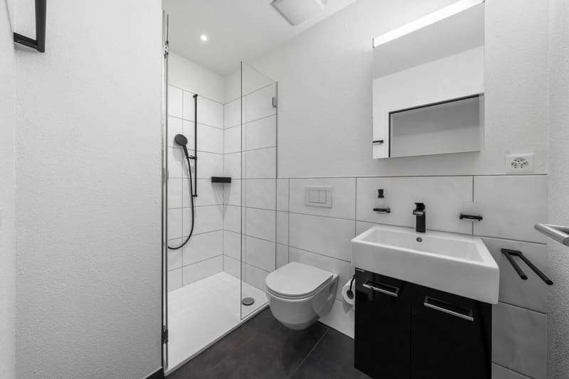 Moderne und grosszügige 4.5 Zi. Wohnung an zentraler Lage (7)