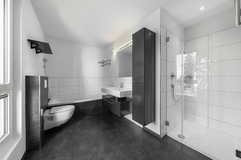 Moderne und grosszügige 4.5 Zi. Wohnung an zentraler Lage (8)