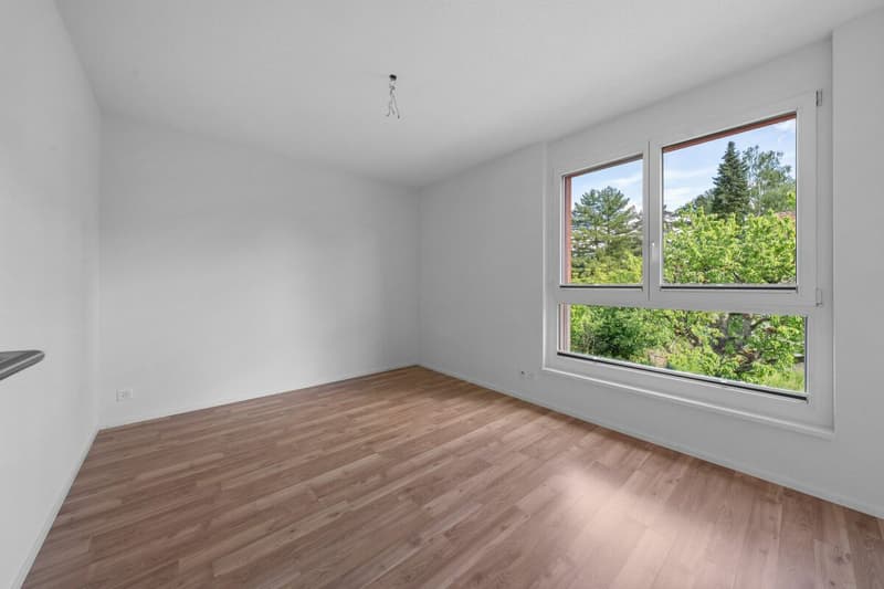 Moderne und grosszügige 4.5 Zi. Wohnung an zentraler Lage (4)