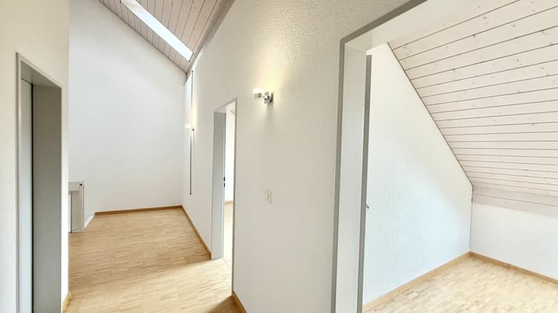 Tolle 3.5 Zi. Maisonette Wohnung mit Alpensicht (7)