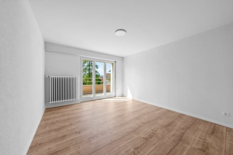 Vollständig sanierte 4.5-Zimmer-Attikawohnung mit grosser Terrasse und Weitsicht! (6)