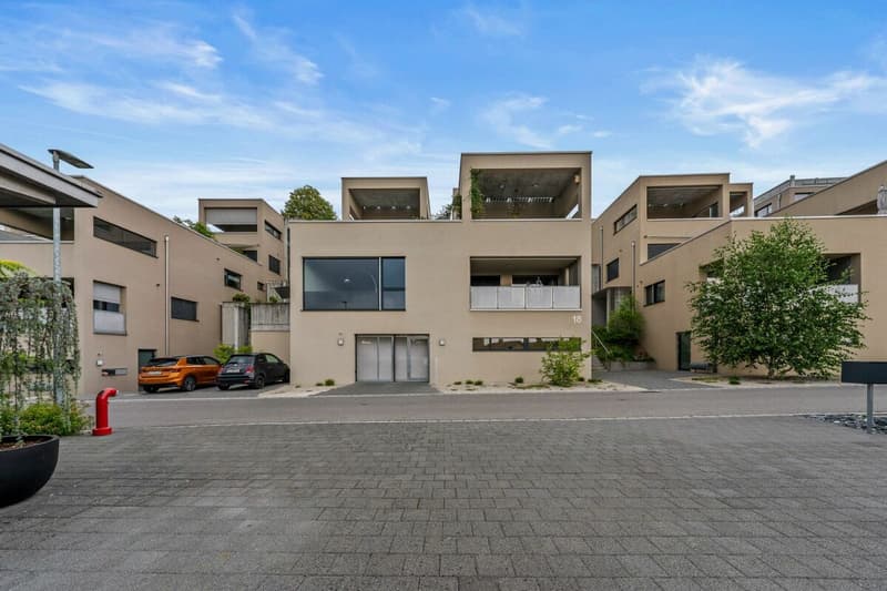 Exklusive 4.5-Zimmer-Terrassenwohnung - Modernes Wohnen auf höchstem Niveau (3)