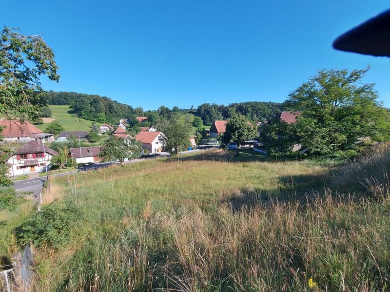 Tolles Grundstück an naturverbundener Lage (3)