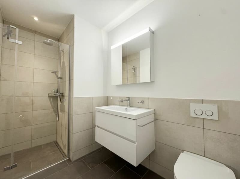 Hochwertige 4.5 Zimmer Wohnung mit grossem Balkon (2)