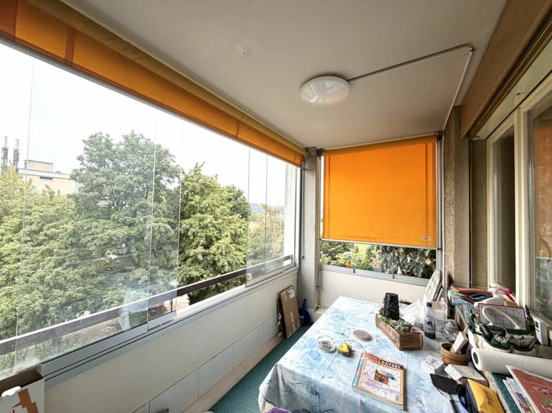 Charmante 4.5 Zimmer Wohnung mit schöner Weitsicht (8)