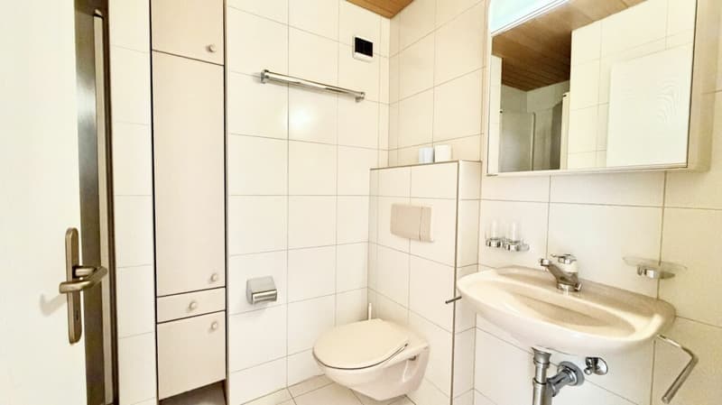 4.5 Zimmer Wohnung an Top Lage (12)