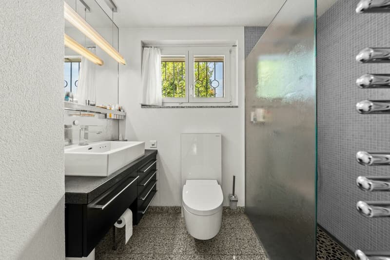 Wohnglück am Wasser: Exklusives 6.5 Zimmer Haus mit privater Natur Oase (17)