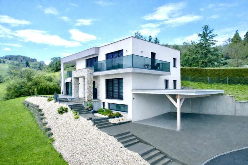 Luxuriöses 7.5 Zimmer  Einfamilienhaus mit viel Platz (2)