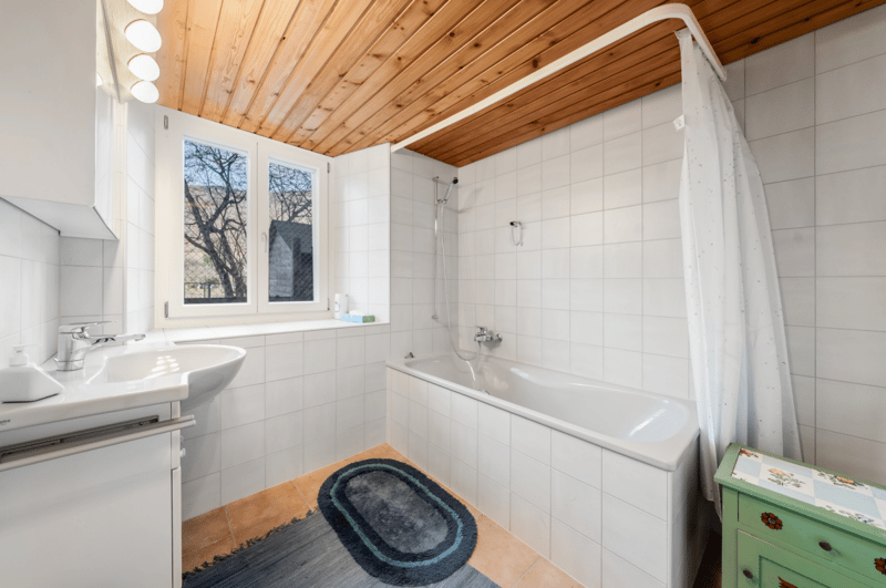 Belle maison avec appartement indépendant et terrain de 4'500 m2 (13)