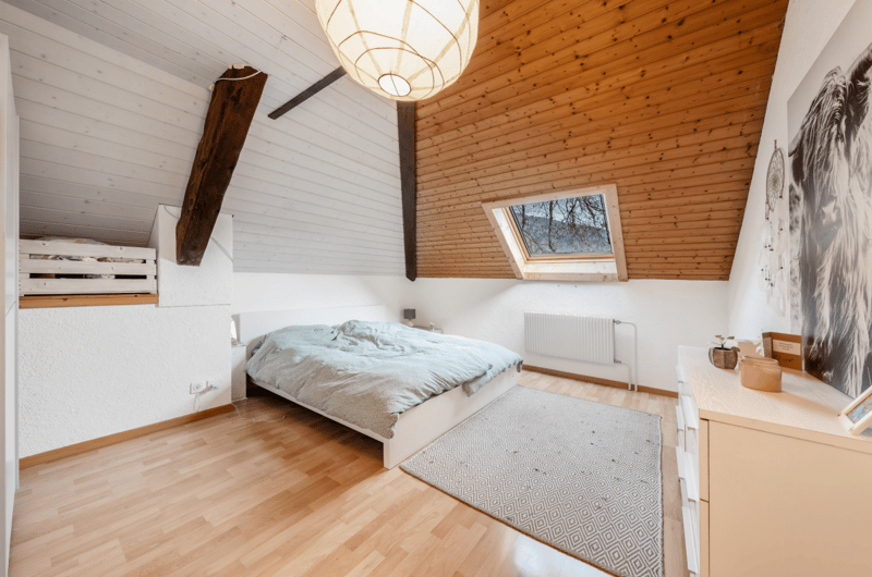 Belle maison avec appartement indépendant et terrain de 4'500 m2 (8)