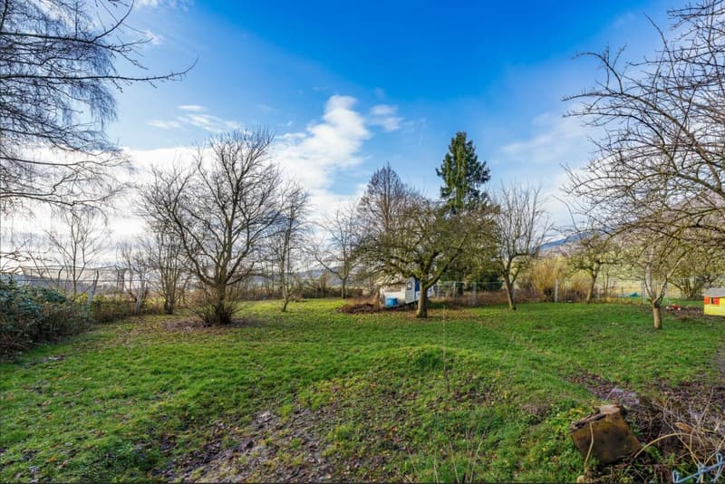 Belle maison avec appartement indépendant et terrain de 4'500 m2 (4)