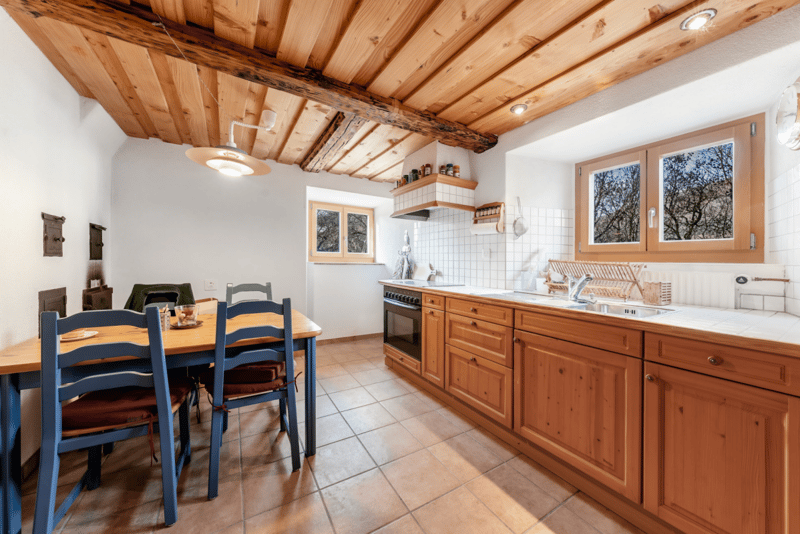 Belle maison avec appartement indépendant et terrain de 4'500 m2 (14)