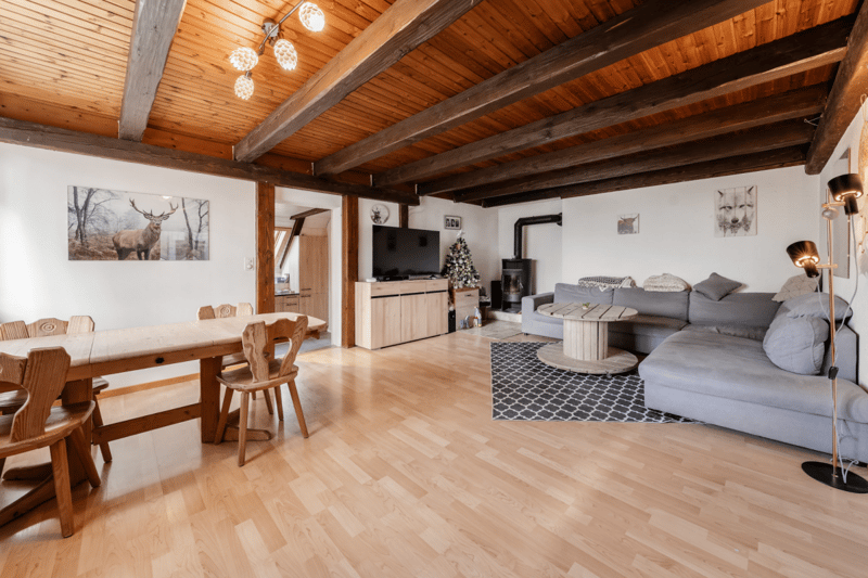Belle maison avec appartement indépendant et terrain de 4'500 m2 (6)