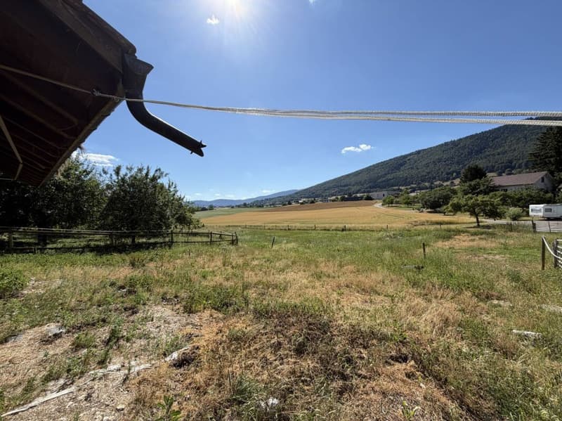 Belle maison avec appartement indépendant et terrain de 4'500 m2 (16)