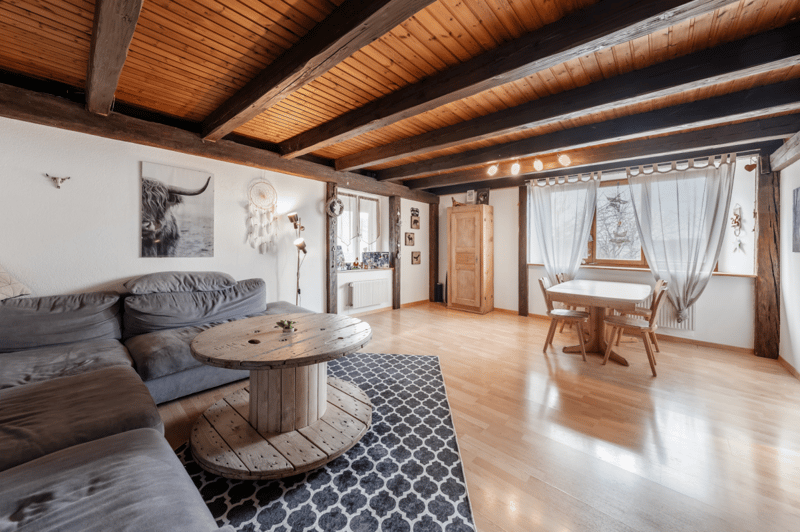 Belle maison avec appartement indépendant et terrain de 4'500 m2 (7)
