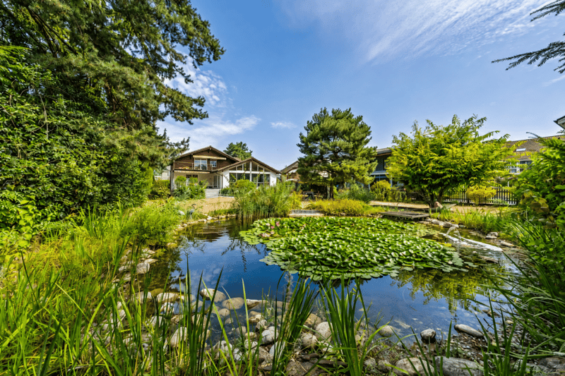 Wohnglück am Wasser: Exklusives 6.5 Zimmer Haus mit privater Natur Oase (1)