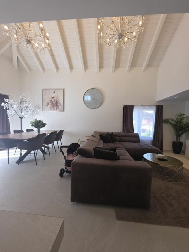 Wunderschönes, grosses 8.5 Zimmer EFH an Privatstrasse, mit grossem Garten (8)