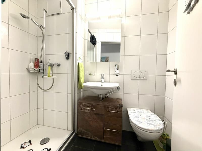 Schöne 4.5 Zimmer Gartenwohnung an ruhiger Lage (8)