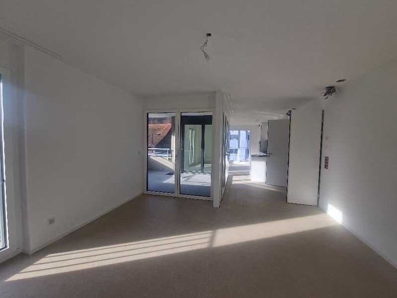 Luxuriöse 3.5 -Zimmerwohnung (mit Minergie-P) im EG an der Sonneckstrasse 3 (4)