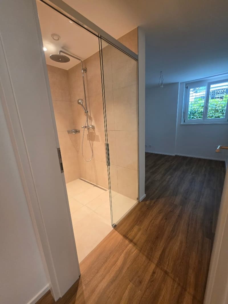 Luxuriöse 3.5 -Zimmer am Nelkenring 2 (8)