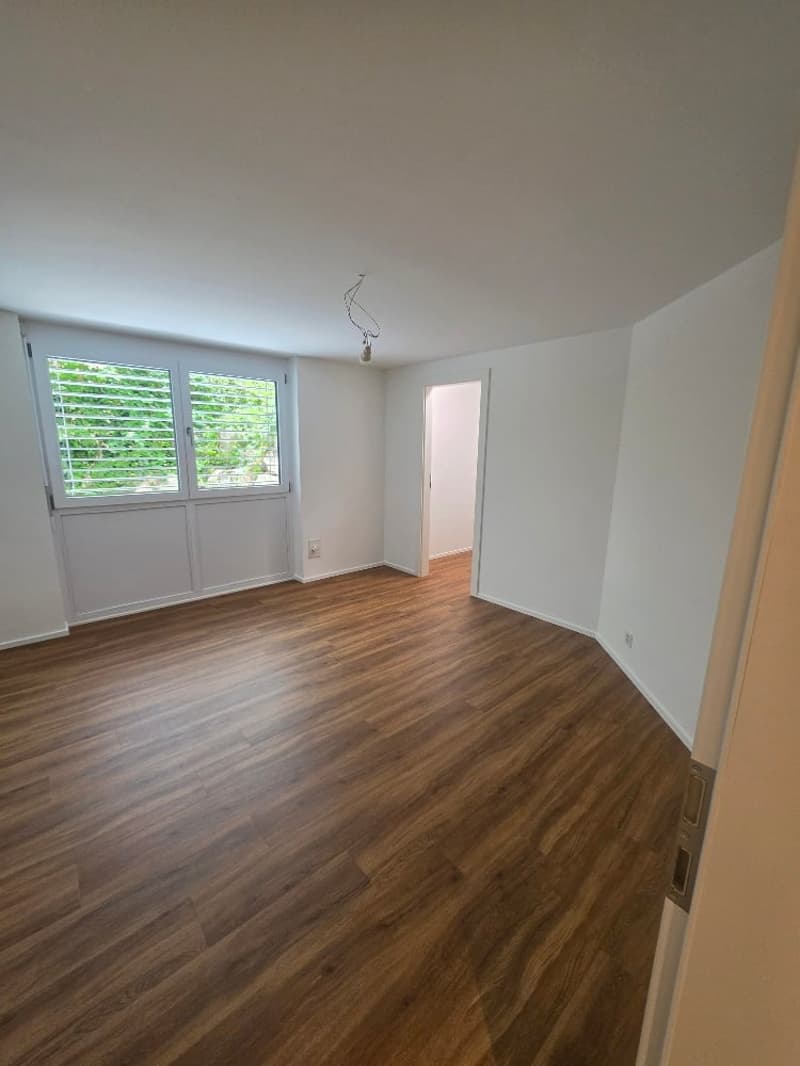Luxuriöse 3.5 -Zimmer am Nelkenring 2 (10)