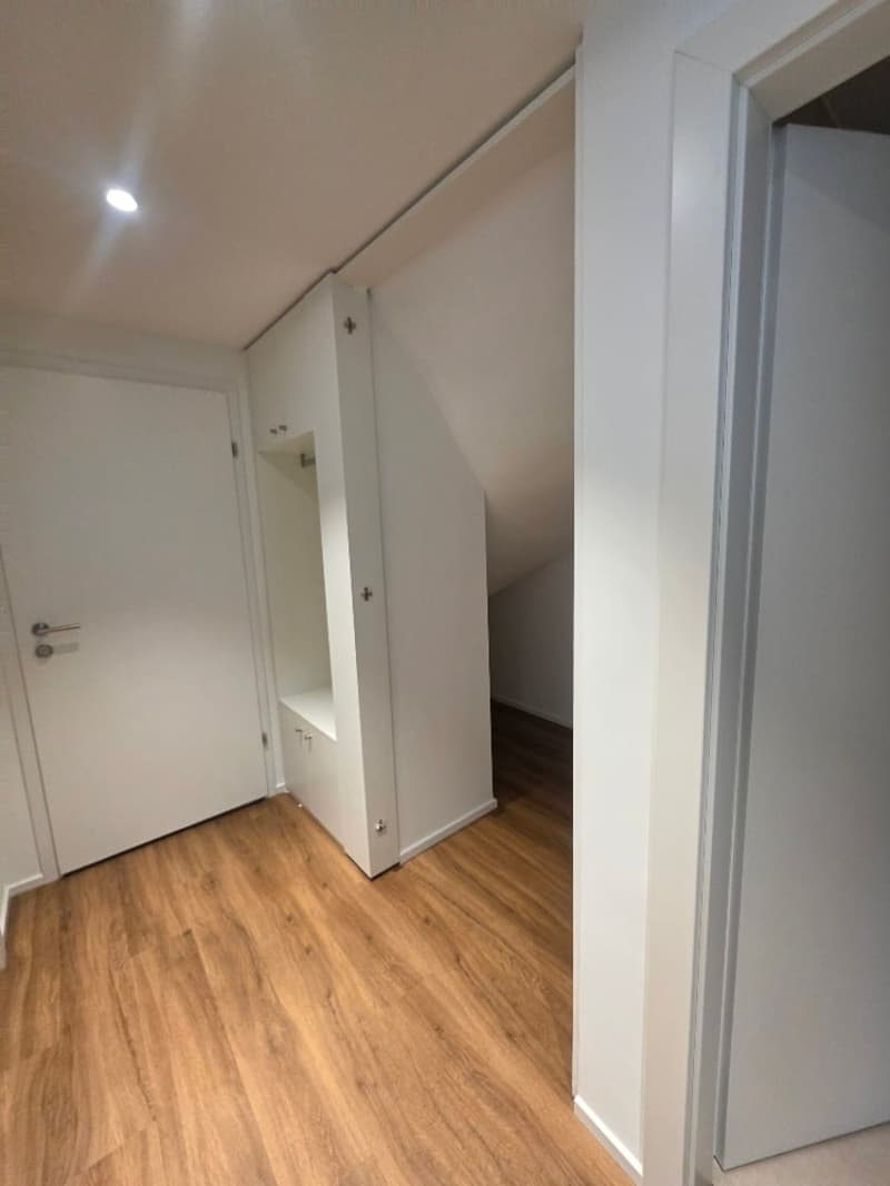 Luxuriöse 3.5 -Zimmer am Nelkenring 2 (7)
