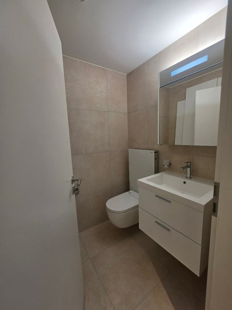 Luxuriöse 3.5 -Zimmer am Nelkenring 2 (14)