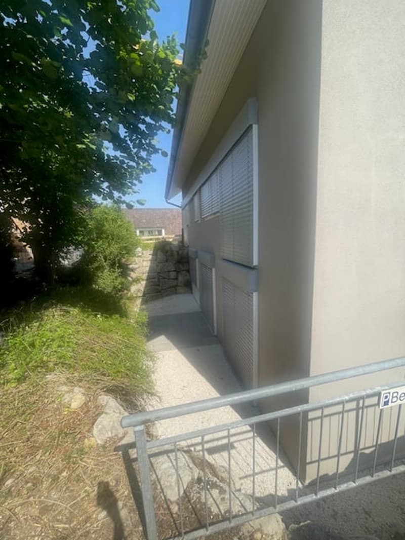 Luxuriöse 3.5 -Zimmer am Nelkenring 2 (4)