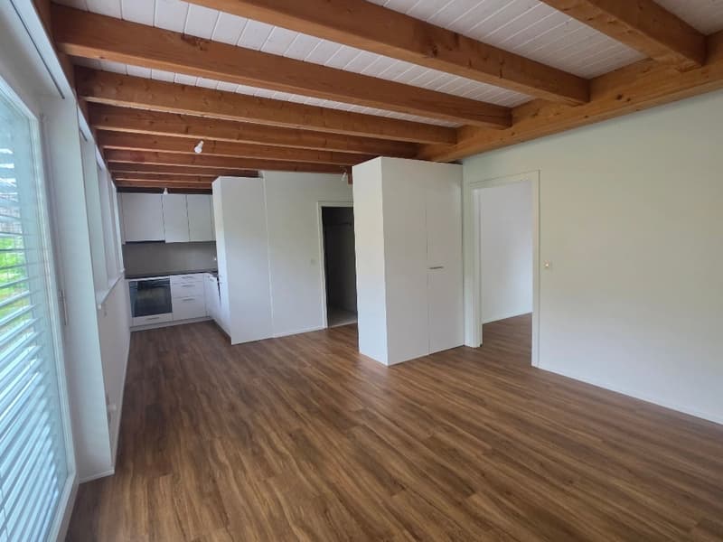 Luxuriöse 2.5 -Zimmerwohnung im EG am Nelkenring 2 (7)