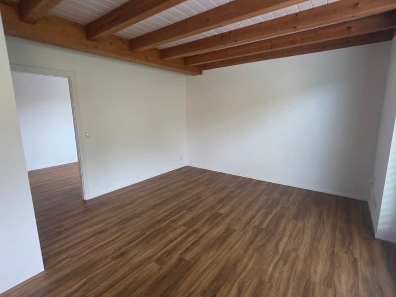 Luxuriöse 2.5 -Zimmerwohnung im EG am Nelkenring 2 (8)