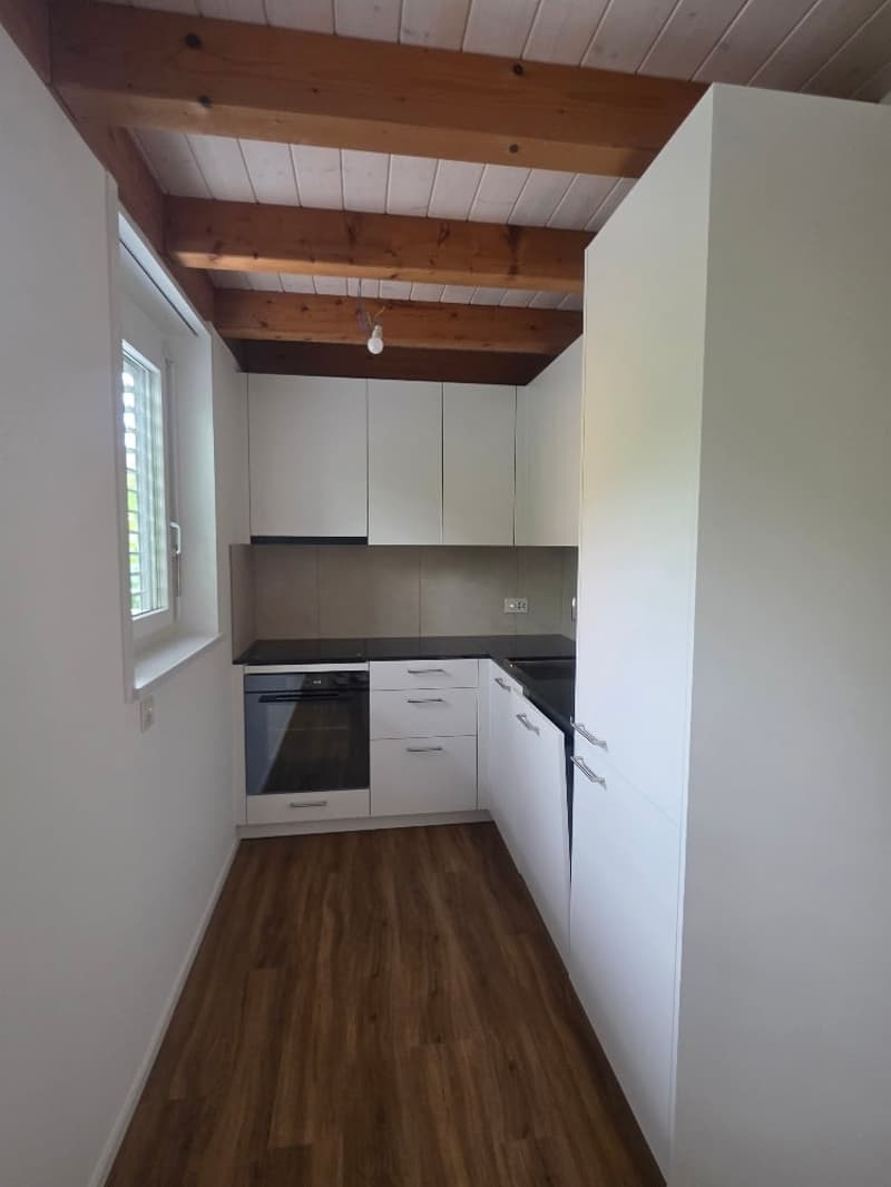 Luxuriöse 2.5 -Zimmerwohnung im EG am Nelkenring 2 (10)