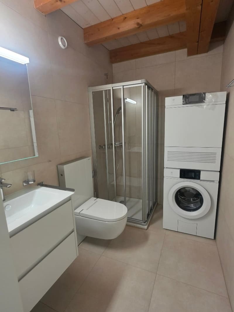 Luxuriöse 2.5 -Zimmerwohnung im EG am Nelkenring 2 (11)