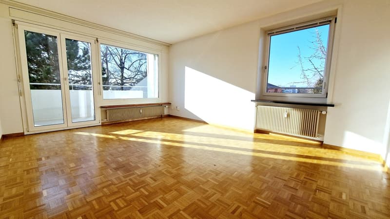 Wooden floor, double sliding doors, windows, white walls, radiators, balcony, city view
