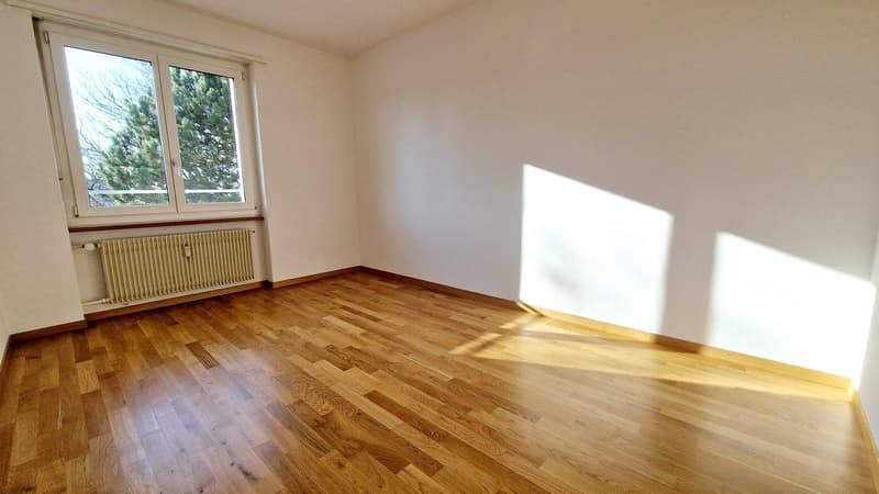 large window, wooden floors, white walls, central heating, balcony