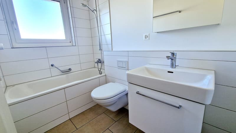 modern bathroom with bathtub, white ceramic tiles, white toilet, white sink, mirror, and shower attachment