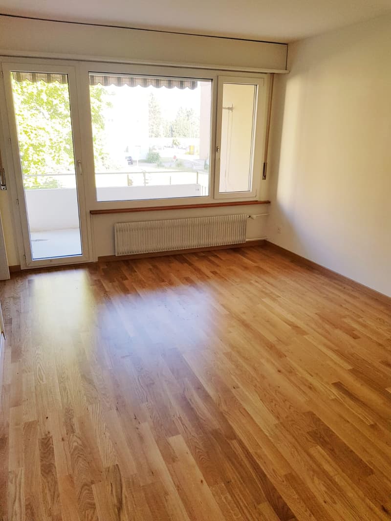 hardwood floor, sliding glass doors, balcony, windows, radiator, light wooden walls