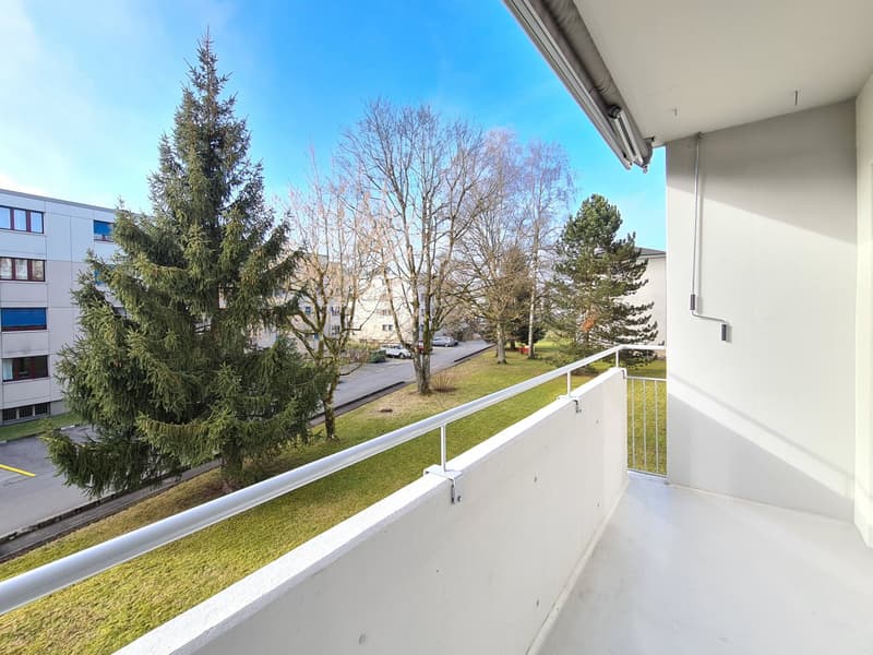 empty balcony, white railing, grass, trees, buildings in the background