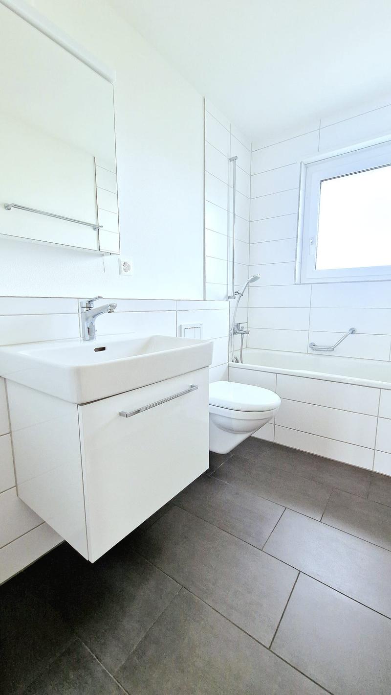 white walls, grey tiles, under-mount sink, white toilet, bathtub with shower attachment, white mirror
