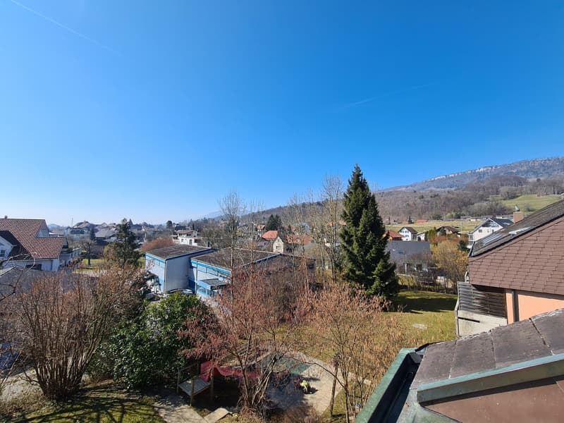 Aerial view of a neighborhood with several houses, trees, and a playground.