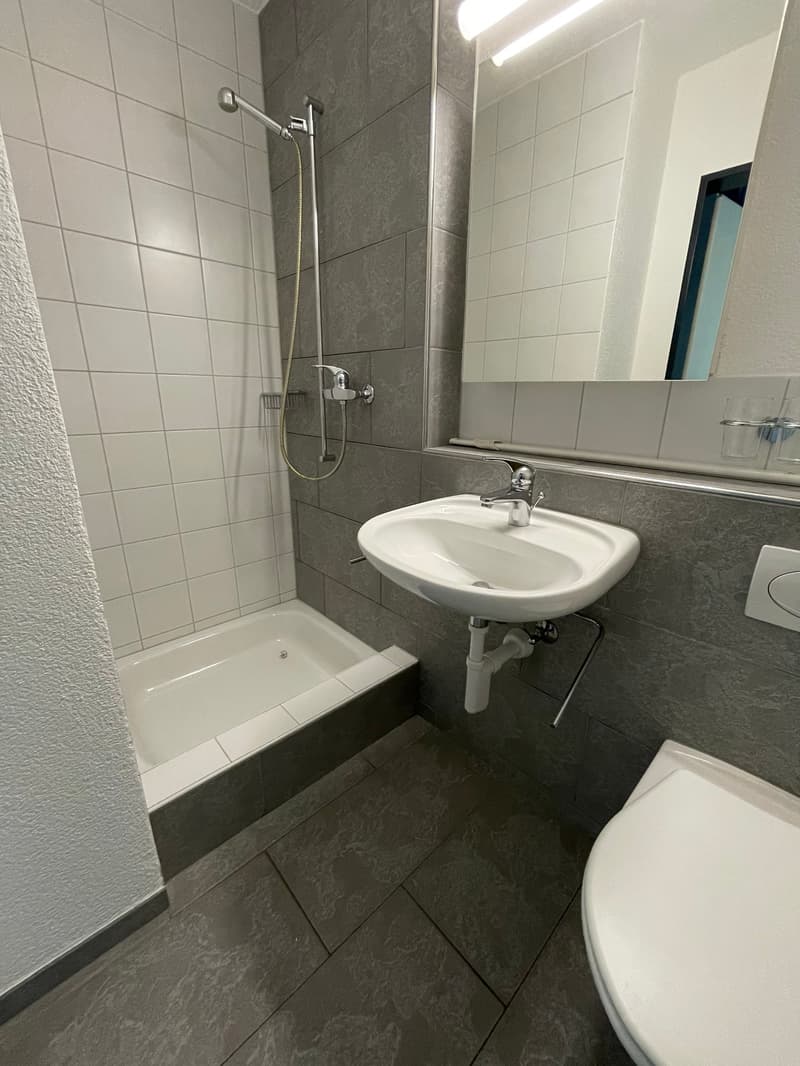 Grosszügige Maisonnette Wohnung an zentraler Lage (11)
