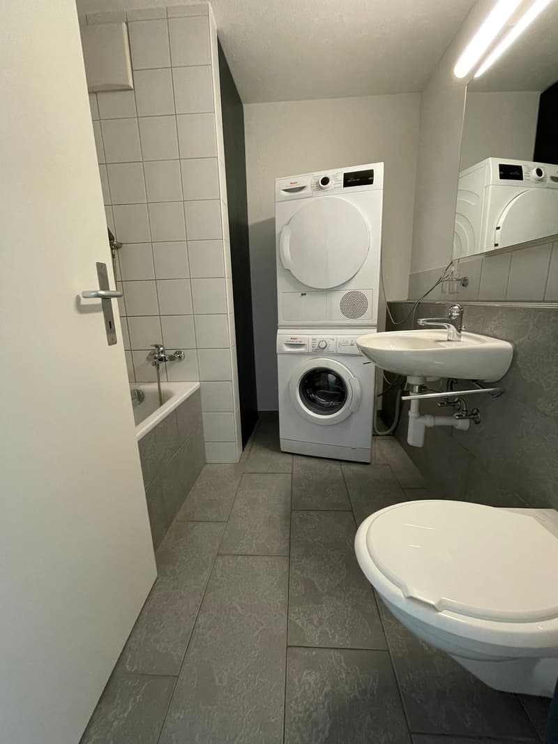 Grosszügige Maisonnette Wohnung an zentraler Lage (7)