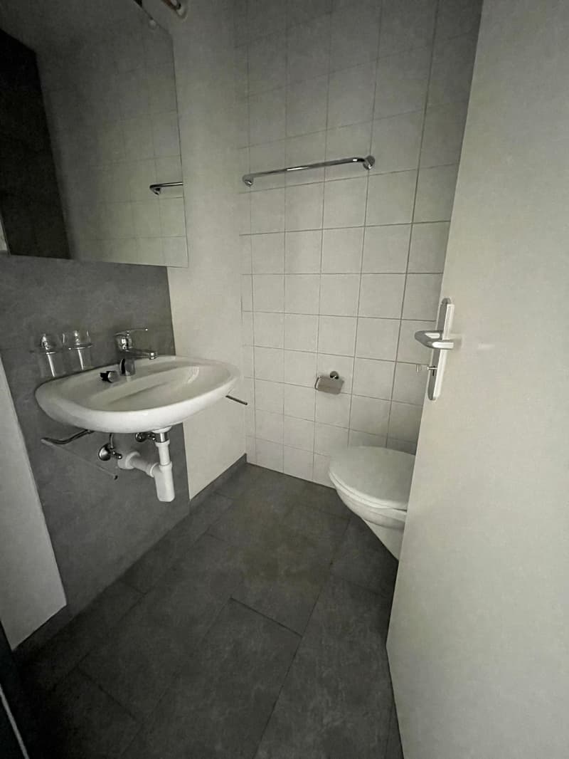 Grosszügige Maisonnette Wohnung an zentraler Lage (12)