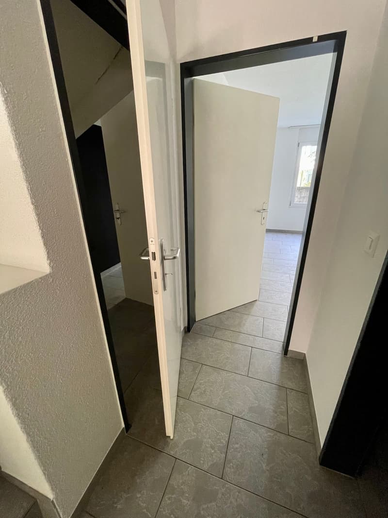 Grosszügige Maisonnette Wohnung an zentraler Lage (7)